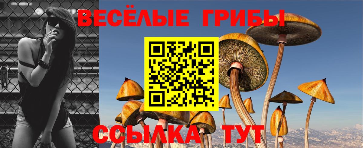 Семилуки  Псилоцибиновые грибы мухоморы  Вход с VPN  купить наркотик  Галлюциногенные грибы Cubensis 